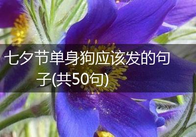 七夕节单身狗应该发的句子(共50句)