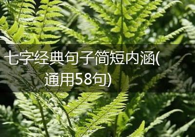 七字经典句子简短内涵(通用58句)