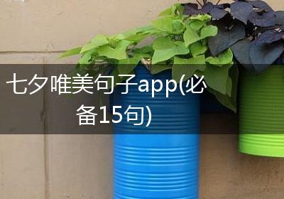 七夕唯美句子app(必备15句)