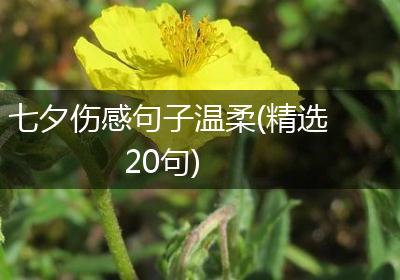 七夕伤感句子温柔(精选20句)