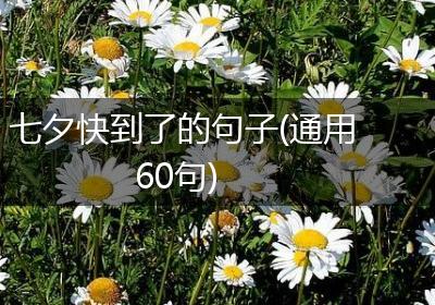 七夕快到了的句子(通用60句)