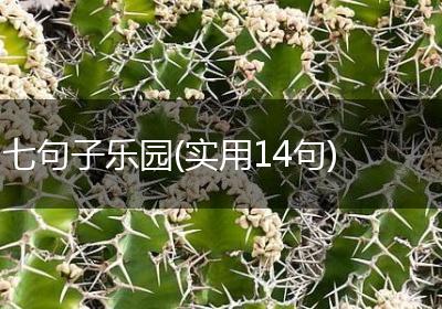 七句子乐园(实用14句)