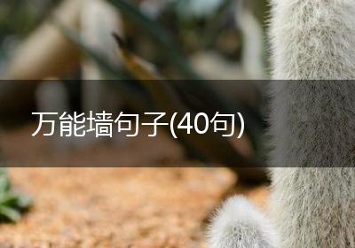 万能墙句子(40句)