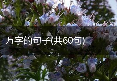 万字的句子(共60句)