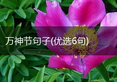 万神节句子(优选6句)