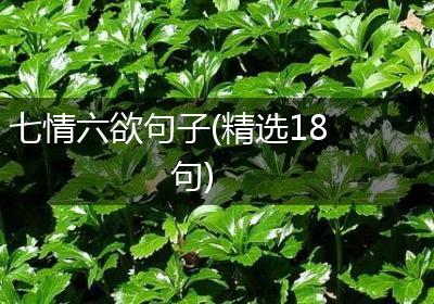 七情六欲句子(精选18句)