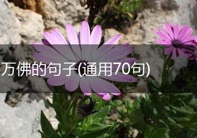 万佛的句子(通用70句)
