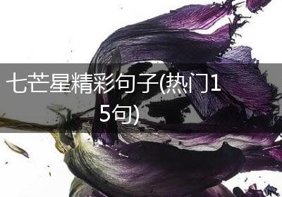 七芒星精彩句子(热门15句)