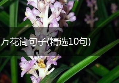 万花筒句子(精选10句)