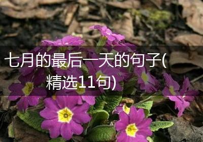 七月的最后一天的句子(精选11句)
