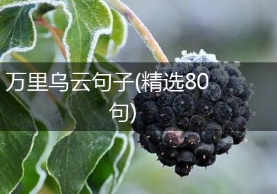 万里乌云句子(精选80句)