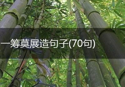 一筹莫展造句子(70句)