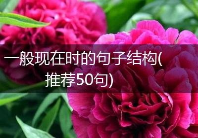 一般现在时的句子结构(推荐50句)