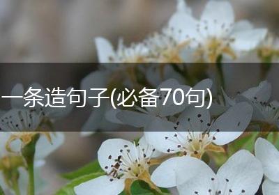 一条造句子(必备70句)