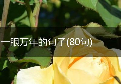 一眼万年的句子(80句)