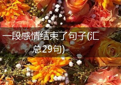 一段感情结束了句子(汇总29句)