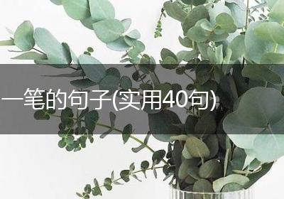 一笔的句子(实用40句)