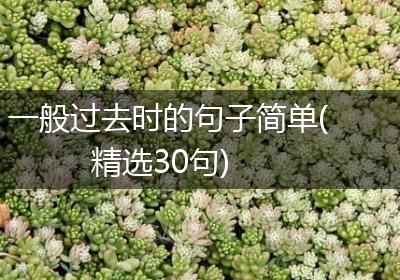 一般过去时的句子简单(精选30句)