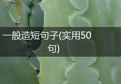一般造短句子(实用50句)