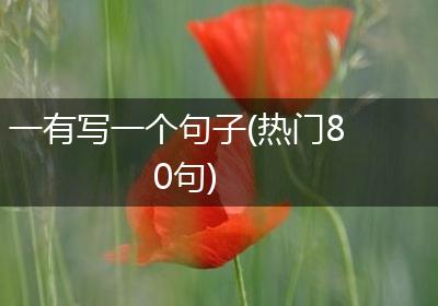 一有写一个句子(热门80句)