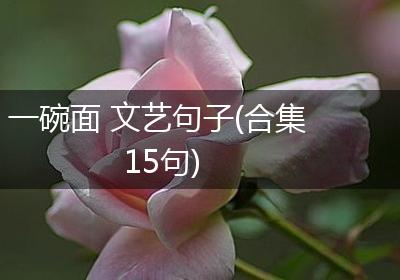 一碗面 文艺句子(合集15句)