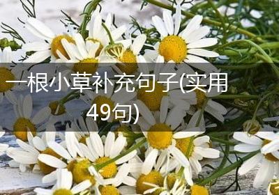 一根小草补充句子(实用49句)