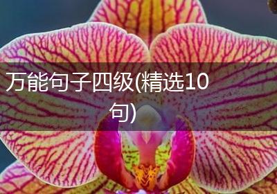 万能句子四级(精选10句)