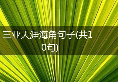 三亚天涯海角句子(共10句)