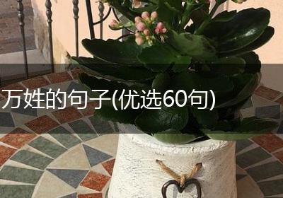 万姓的句子(优选60句)