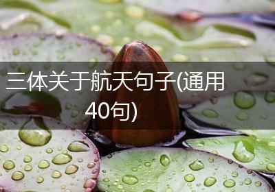 三体关于航天句子(通用40句)