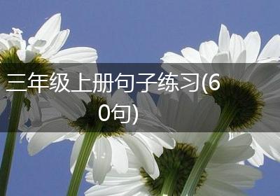 三年级上册句子练习(60句)