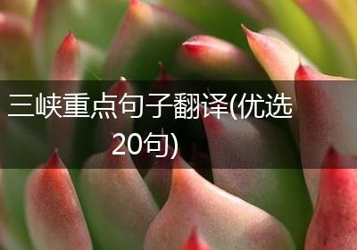 三峡重点句子翻译(优选20句)