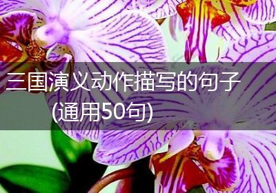 三国演义动作描写的句子(通用50句)