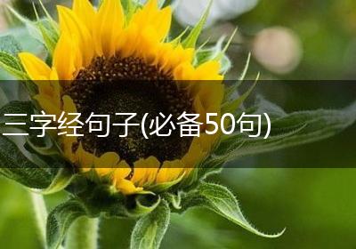 三字经句子(必备50句)