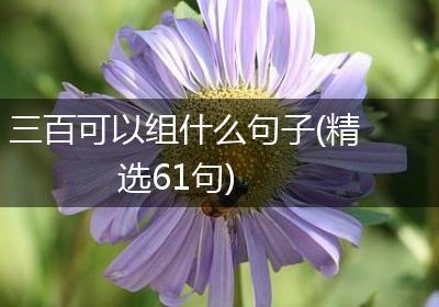 三百可以组什么句子(精选61句)