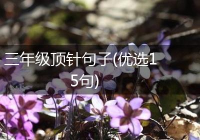 三年级顶针句子(优选15句)