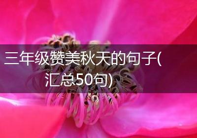 三年级赞美秋天的句子(汇总50句)