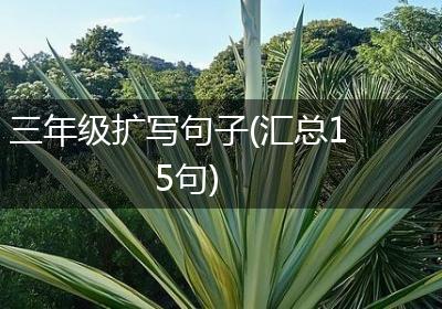 三年级扩写句子(汇总15句)