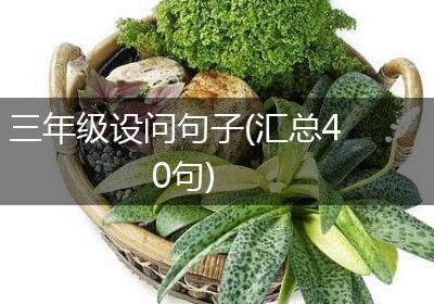 三年级设问句子(汇总40句)
