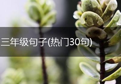 三年级句子(热门30句)