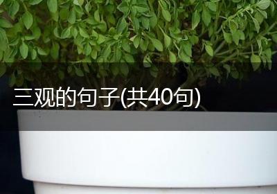 三观的句子(共40句)