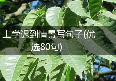上学迟到情景写句子(优选80句)