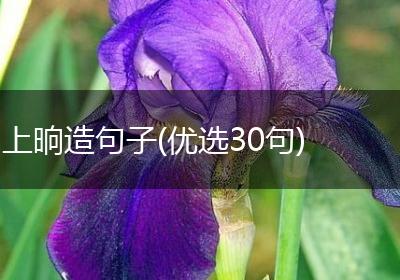 上晌造句子(优选30句)