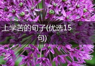 上学苦的句子(优选15句)