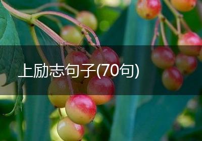 上励志句子(70句)