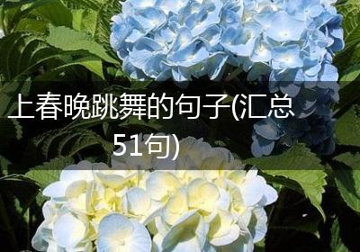 上春晚跳舞的句子(汇总51句)