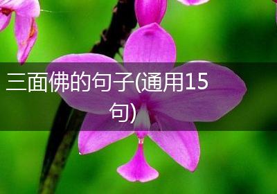 三面佛的句子(通用15句)