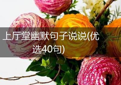 上厅堂幽默句子说说(优选40句)