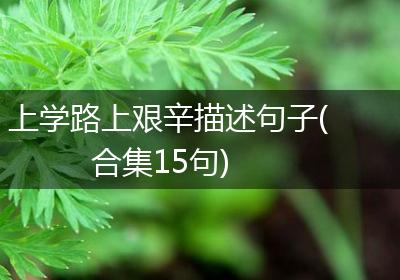 上学路上艰辛描述句子(合集15句)