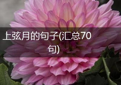 上弦月的句子(汇总70句)